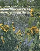 The sunflowers of waterside, Gustave Caillebotte